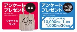 アンケートプレゼント